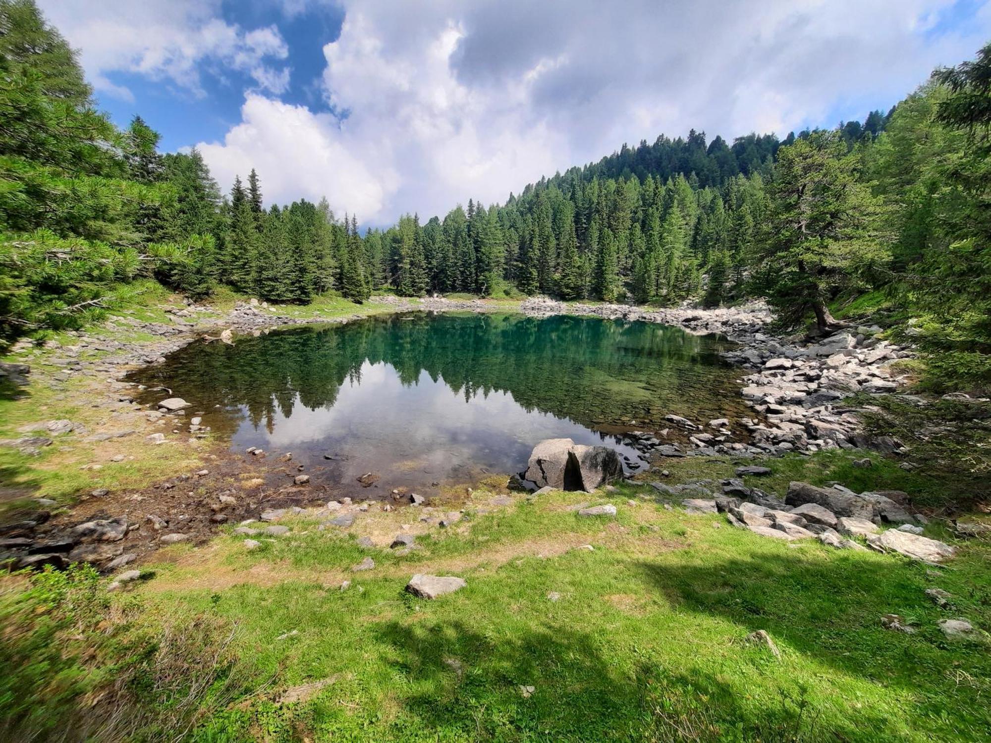 Hoermannhof Bressanone Dış mekan fotoğraf